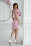 Short dress model 197543 Bicotone