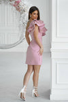 Short dress model 197543 Bicotone