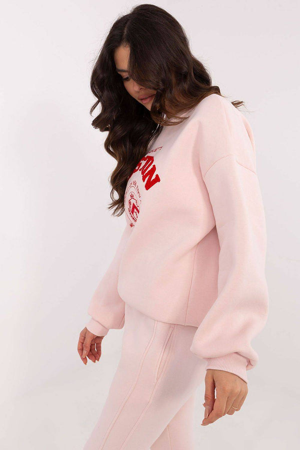 Sweatshirt model 206368 Factory Price