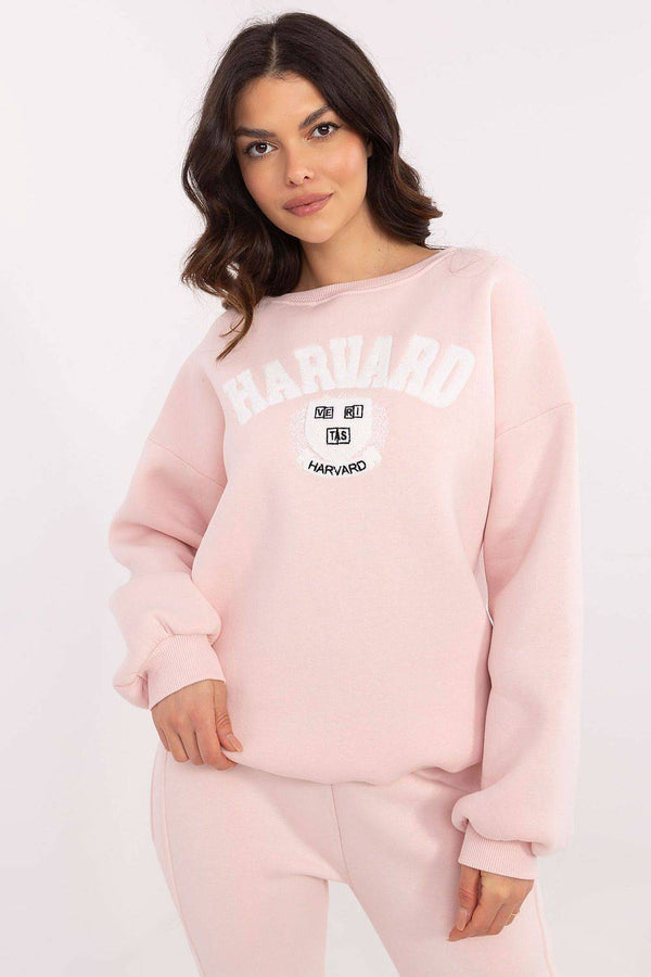 Sweatshirt model 206381 Factory Price
