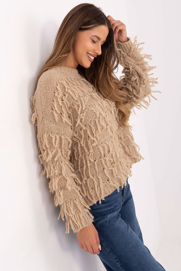 Jumper model 217057 Rue Paris
