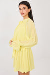  Cocktail dress model 223376 Rue Paris 