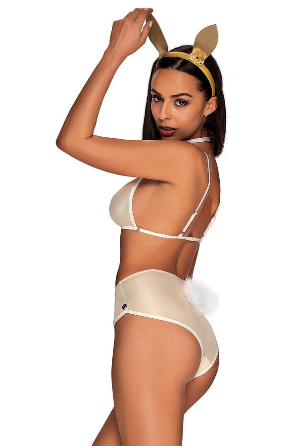 Erotic suit
